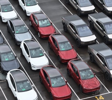 Could Tesla Vandalism Rates Bring Higher Premiums